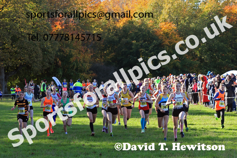 Girls Under-15s, 2025 Start Fitness NEHL, Lambton, County Durham. Photo: David T. Hewitson/Sports for All Pics